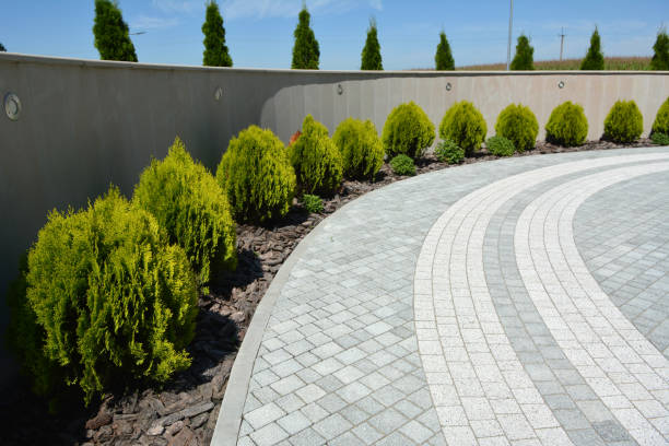 Best Driveway Paving Contractor  in Springfield, MI