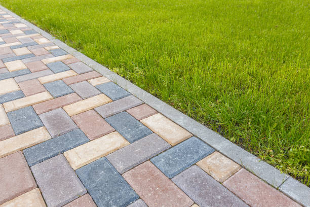Reasons to Select Us for Your Driveway Paving Requirements in Springfield, MI